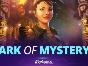Ark Of Mystery screenshot